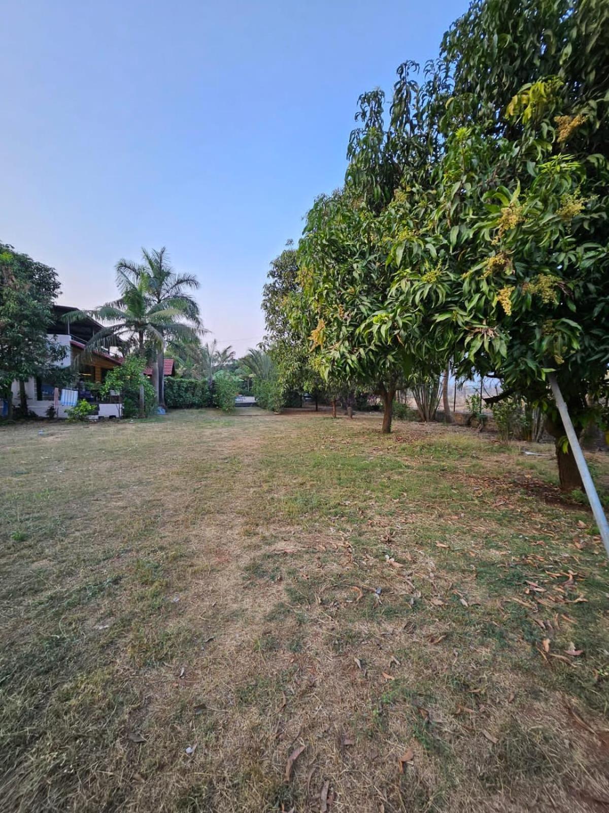 Patil'S Greenwoods Farmhouse Navi Mumbai Exterior photo